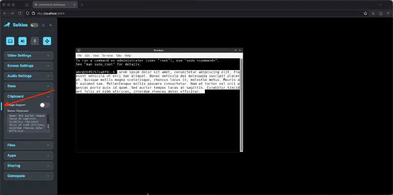Screenshot of the clipboard