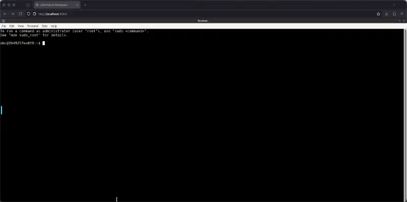 Screenshot of the terminal